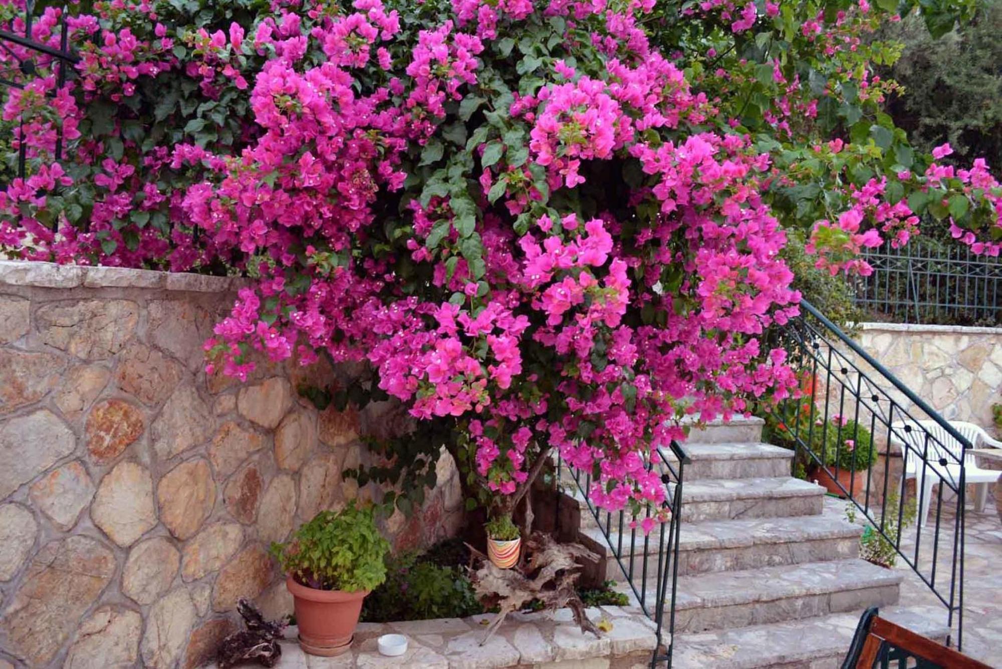 Villa Diana Nikiana Dış mekan fotoğraf